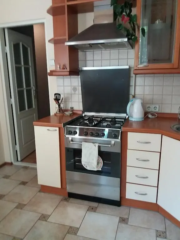 Apartment U Lidii In Center Of Kiev Near Railways Station Ukraine